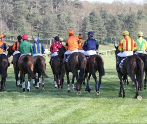 ®Hippodrome du Lion d'Angers - 49