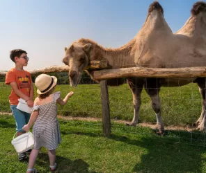 CP-Pascal_BELTRAMI_-_Mayenne_Tourisme-1920px(7)