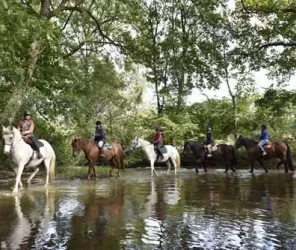 © P. Beltrami - Mayenne Tourisme