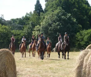 centre équestre le fontay