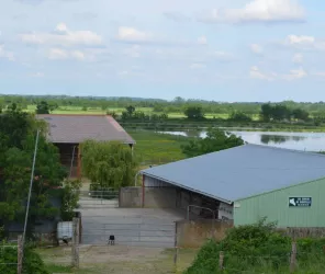 copyright écuries de cassinelle