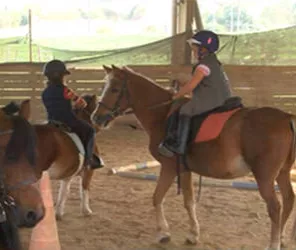 CENTRE ÉQUESTRE L'ÉTRIER FONTENAISIEN