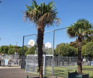 Office de Tourisme Fontenay-Vendée