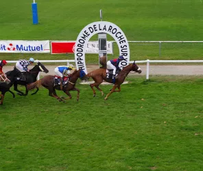 @ Hippodrome des Terres Noires