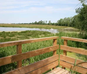 KG / Ot Pays né de la Mer