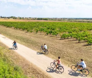 Copyright : Simon Bourcier