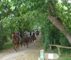 Pays de Saint Gilles Croix de Vie