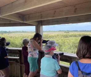 ADEV Observatoire d'oiseaux 