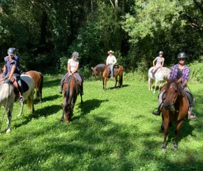 balade Haras du Plessis