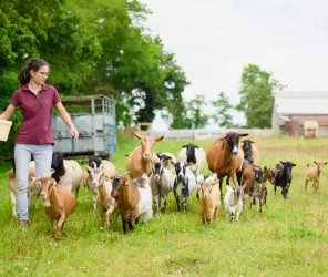 @AntoineTatinPhotographe