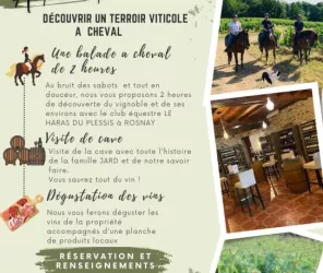 Tous droits réservés