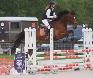 Domaine de la Thibaudiere 