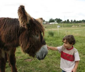 la ferme du Forsdoff