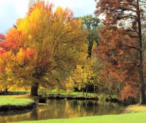 ©chrysteldoysonville