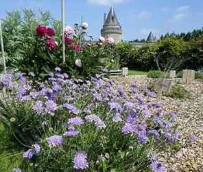 ©chateau-essor-blinois