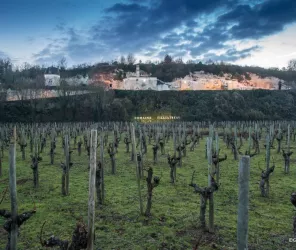 La Grande Vignolle - G. Angibaud