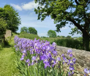 © OT Sainte-Suzanne Les Coëvrons