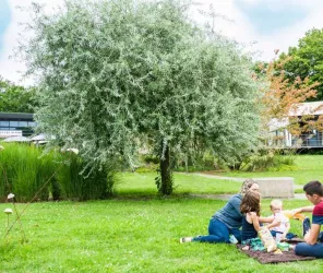Office de Tourisme Vallée de la Sarthe /Stevan