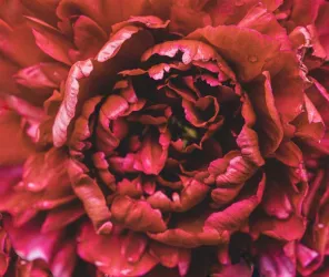 Office de tourisme de la 4CPS