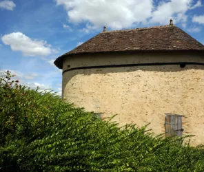 OTMS - Jean-Léo Dugast