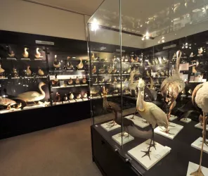 © Photothèque-la-roche-sur-yon-agglomération