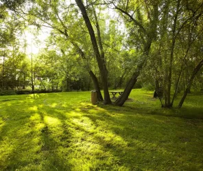 ©Alexandre Lamoureux