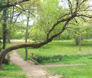 Commune de Soulaines-sur-Aubance