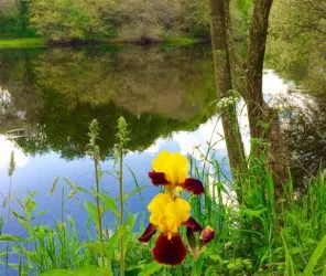 @ Les Chemins d'Eléonore