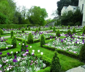 Jardins du Presbytère - Sainte-Gemmes-sur-Loire