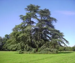 D. Mouraud / Destination Angers