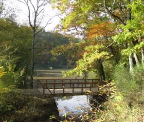 Ville d'Angers - Direction Parcs Jardins et Paysages