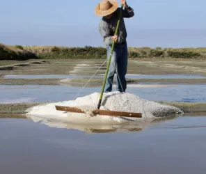 Crédit photo Terre de Sel / Photo Pascal François