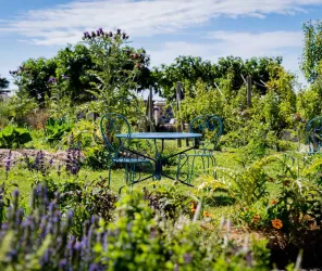 Le Photographe du Dimanche