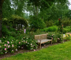 C. Poulin - Les Chemins de la Rose