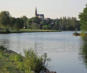 (c) Teillé animation