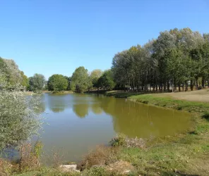 © Office de Tourisme Pays d’Ancenis