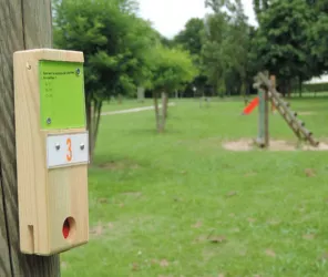 (c) Mairie de Riaillée