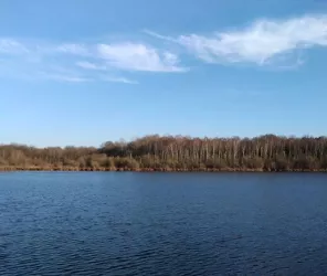 Karine Le Meitour - février 2019