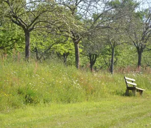 © Dolorés DELANOE - CCMA