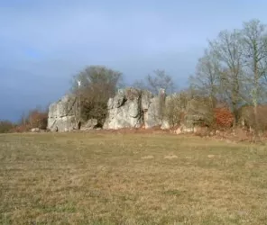 LES ROCHES D'ORGERES