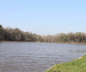 Lesboisverts_lh©Clairebodin_OTlesherbiers 