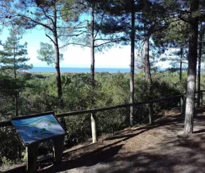 OT Pays de Saint Jean de Monts