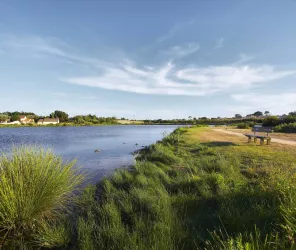 ©Alexandre Lamoureux