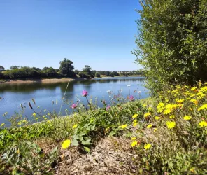 ©Alexandre Lamoureux