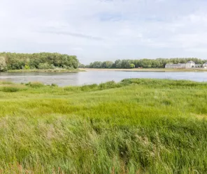 Dorothée Mouraud / Destination Angers