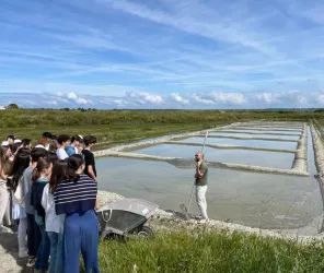 Rogério da Silva - Guide Conférencier