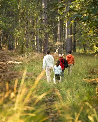 An unusual itinerary through history and local produce in the Perche Sarthois region