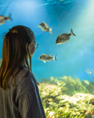 Winter getaway by the sea, the softness of Vendée 