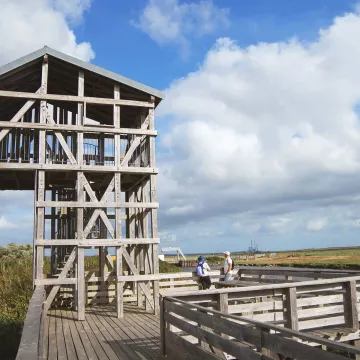 A surprising journey along the Loire estuary, where art meets nature 