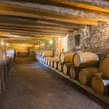 Unusual experiences in amazing cellars!